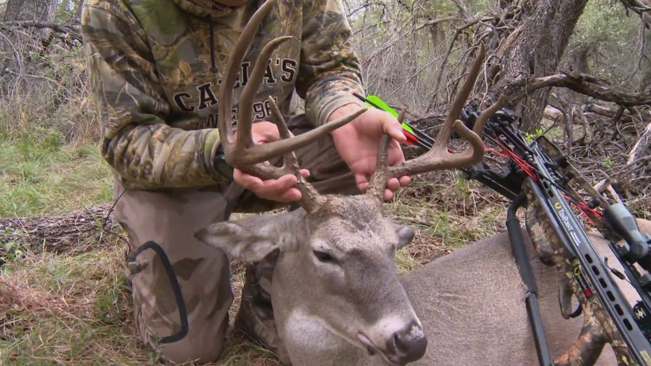 Crossbow Safety Tips: How to Use Your Weapon Responsibly