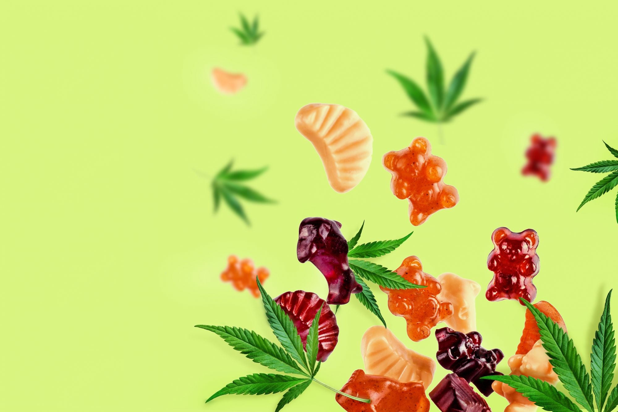 cbd gummies canada
